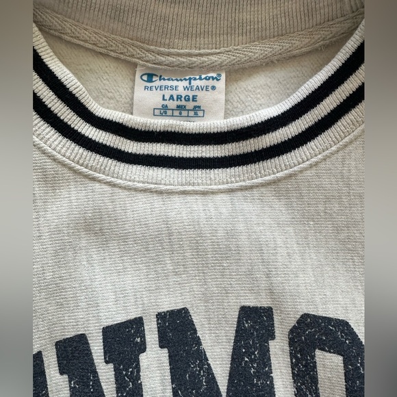 CHAMPION Kenmore Air REVERSE WEAVE YARN DYE RIB CREW - Picture 2 of 3